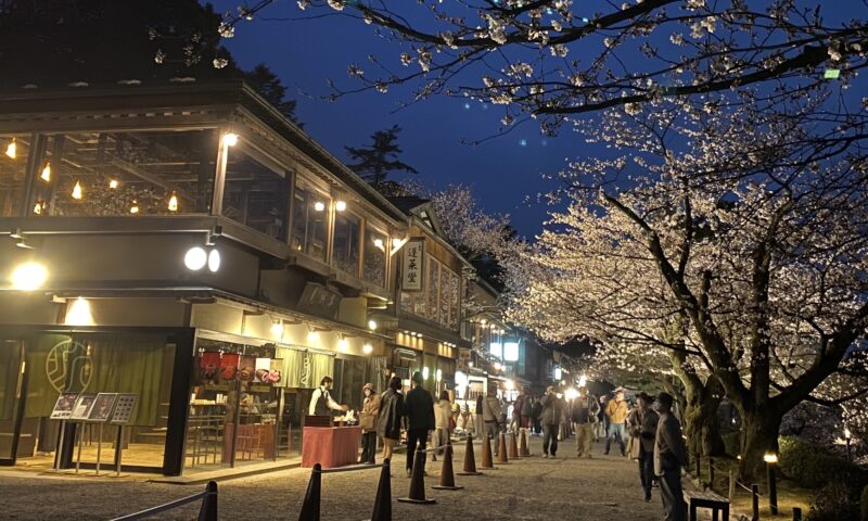 Kenrokuen spring lightup