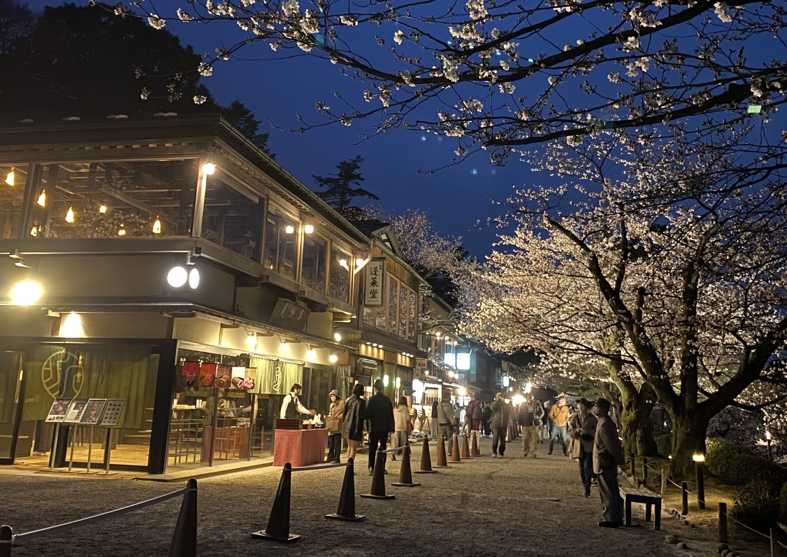 Spring Free Admission and Lighting at Kenrokuen Garden (2025)