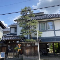 カメリアイン雪椿