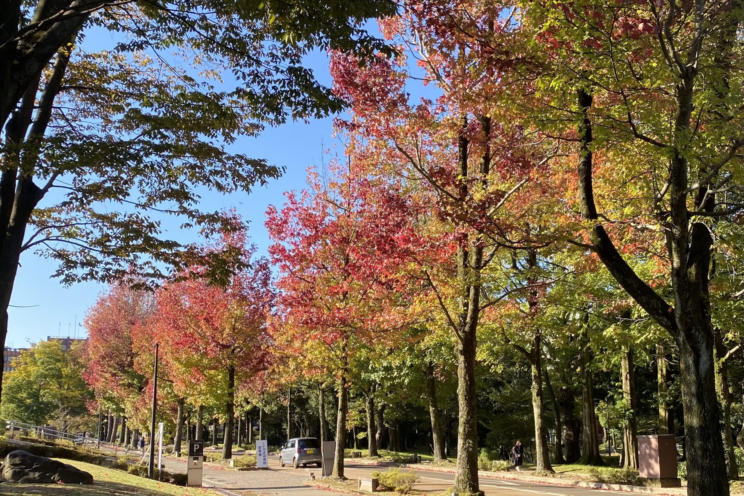 もみじページ GSX-R750 GSX-R1100 燃料コック 予備パーツ 油冷88〜 | スズキ GSX-R750