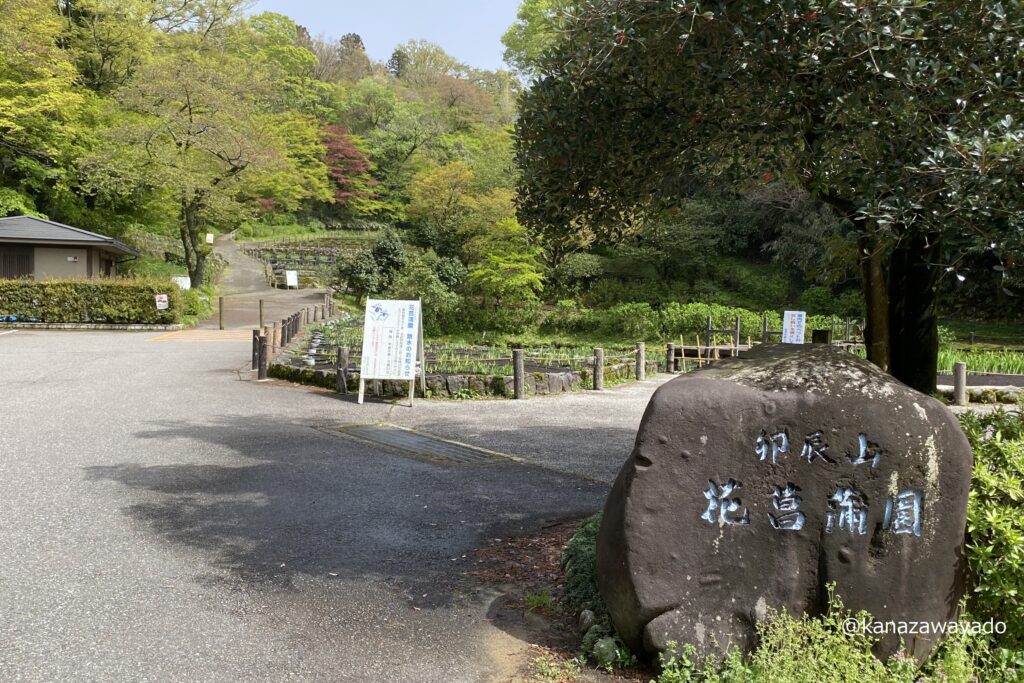 卯辰山花菖蒲園