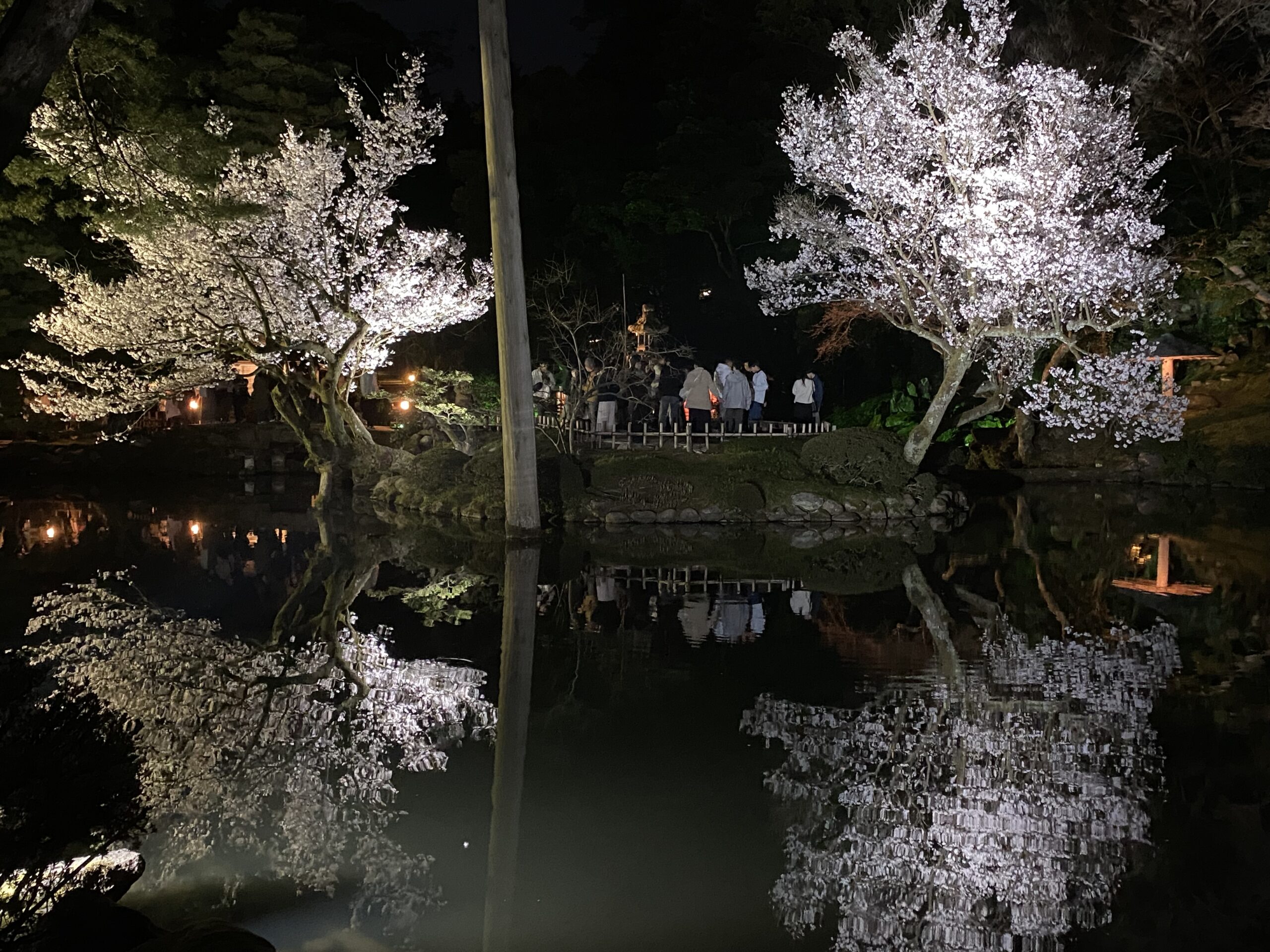 桜と草花の日本画 金箔使用 sddefault.jpg