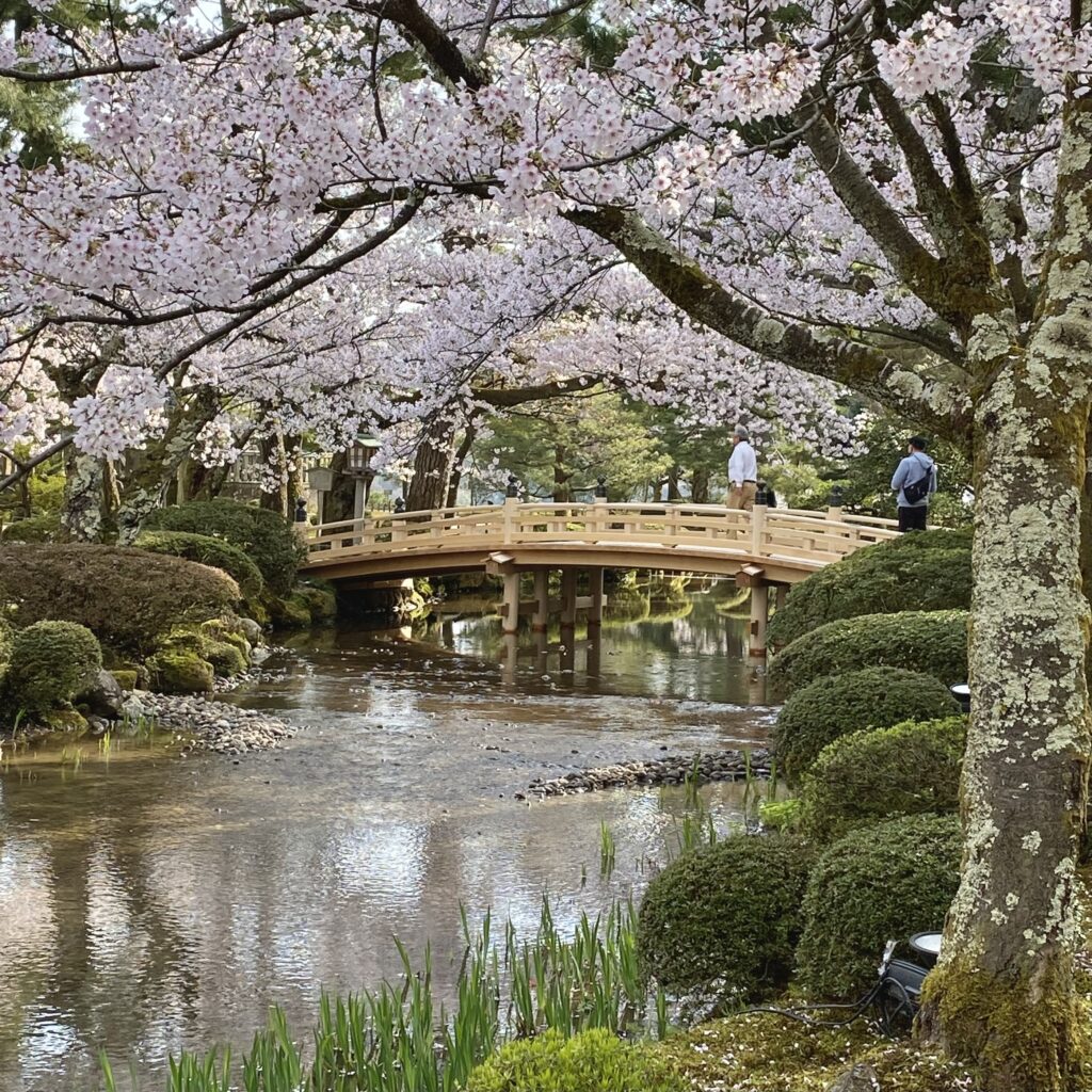 兼六園花見橋